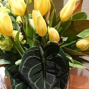 Meet your Posher, Rita